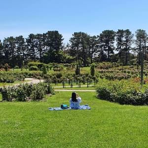 Meet your Posher, Katrina